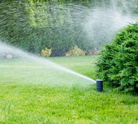 Automatic watering system for grass